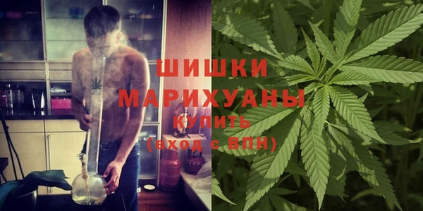 трава Армянск