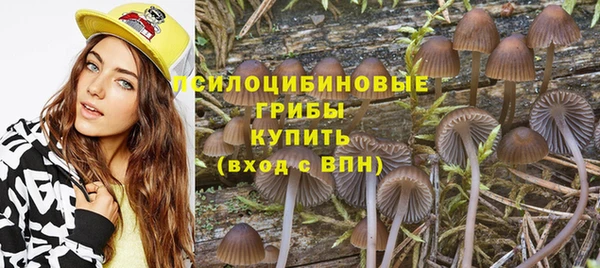 трава Армянск