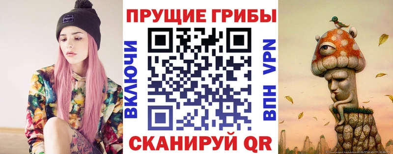 наркотики  hydra ONION  Галлюциногенные грибы Psilocybe  Урай 